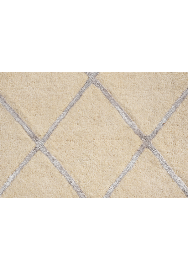 Amari trellis